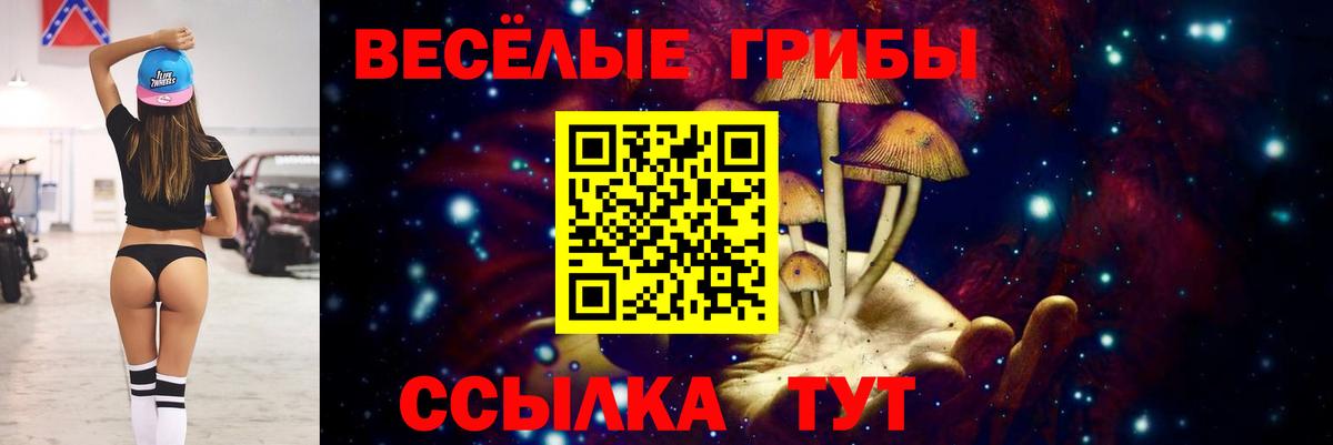 Галлюциногенные грибы ЛСД Стрежевой